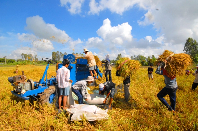 Hiệp định EVFTA được đánh giá là động lực giúp Việt Nam tăng trưởng và giảm nghèo. Ảnh: Lê Hoàng Vũ.