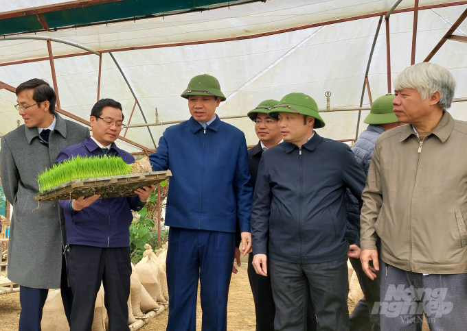 Ông Lê Đức Giang, Phó Chủ tịch UBND tỉnh Thanh Hóa kiểm tra công tác chống rét cho mạ xuân tại huyện Yên Định. Ảnh: Võ Dũng.