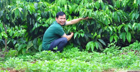 Gia đình ông Trần Văn Xuất duy trì cỏ ở nền vườn để tạo hệ sinh thái cho đất. Ảnh: Minh Hậu.