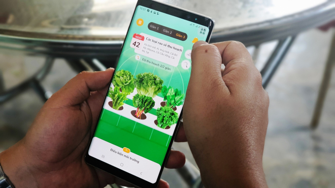 App Afarm trên điện thoại thông minh giúp người trồng có trải nghiệm như đang tự mình trồng, chăm sóc và theo dõi vườn rau của mình. Ảnh: L.K.