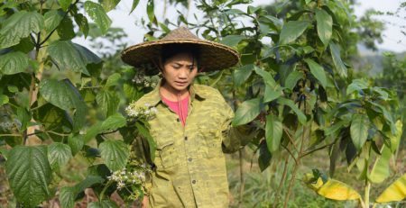 Nguyễn Lê Ngọc Linh và giấc mơ nông nghiệp tuần hoàn. Ảnh: Võ Dũng.