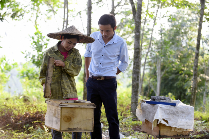 Mô hình "Vườn rừng bản Thổ" với triết lý xây dựng một nền nông nghiệp thuận tự nhiên, nhất là bảo tồn, phát triển những cây trồng bản địa có giá trị. Ảnh: VK.